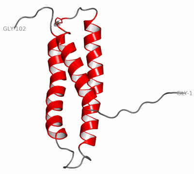 Image NMR Structure - manually