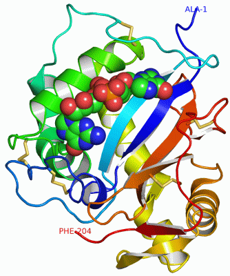 Image Asym./Biol. Unit - manually