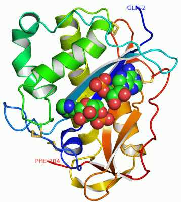 Image Asym./Biol. Unit - manually