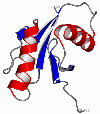 Image NMR Structure - manually