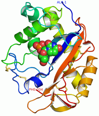 Image Asym./Biol. Unit - manually