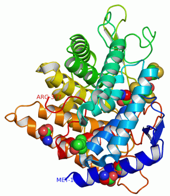 Image Asym./Biol. Unit - manually