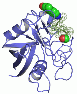 Image Asym./Biol. Unit - manually