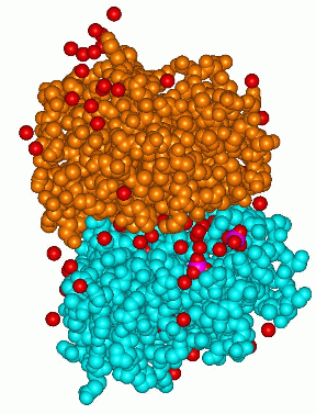 Image Asym./Biol. Unit - manually