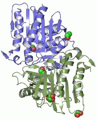 Image Asym./Biol. Unit - manually