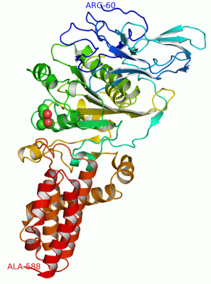 Image Asym./Biol. Unit - manually