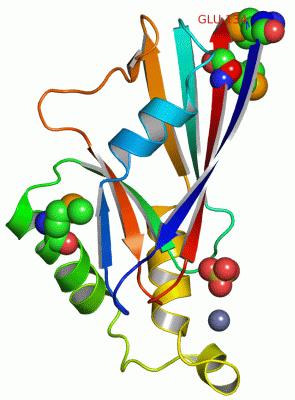 Image Asym.Unit - manually