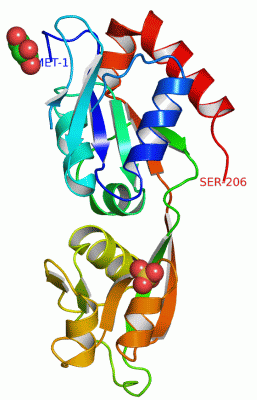 Image Asym./Biol. Unit - manually