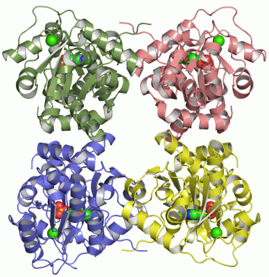 Image Asym./Biol. Unit - manually