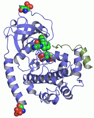 Image Asym./Biol. Unit - manually