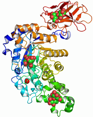 Image Asym./Biol. Unit - manually