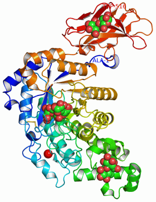 Image Asym./Biol. Unit - manually