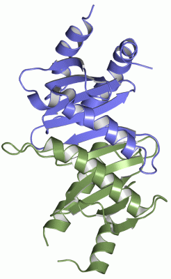 Image Asym./Biol. Unit - manually