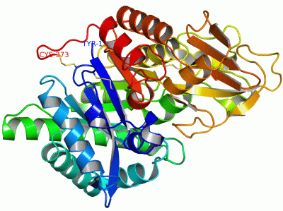 Image Asym./Biol. Unit - manually