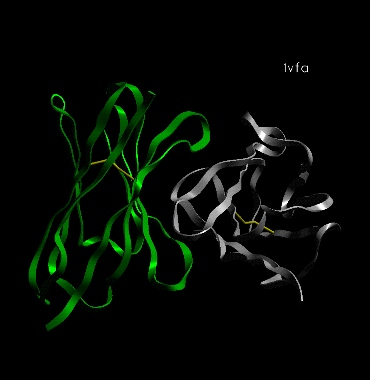 Image Asym./Biol. Unit - manually