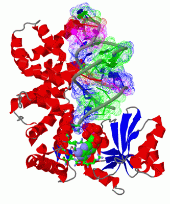 Image Biol.Unit 1 - manually