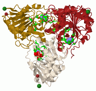 Image Biol.Unit 1 - manually