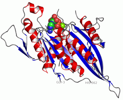 Image Asym./Biol. Unit - manually