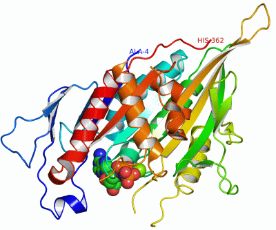 Image Asym./Biol. Unit - manually