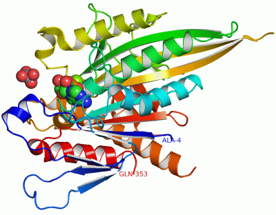 Image Asym./Biol. Unit - manually