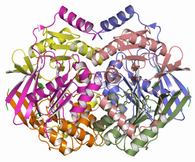 Image Asym./Biol. Unit - manually