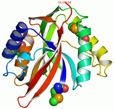 Image Asym./Biol. Unit - manually