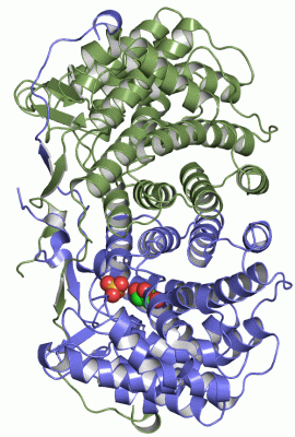 Image Asym./Biol. Unit - manually