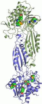 Image Asym./Biol. Unit - manually