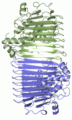 Image Asym./Biol. Unit - manually