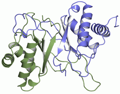 Image Asym./Biol. Unit - manually