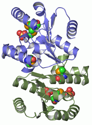 Image Asym./Biol. Unit - manually