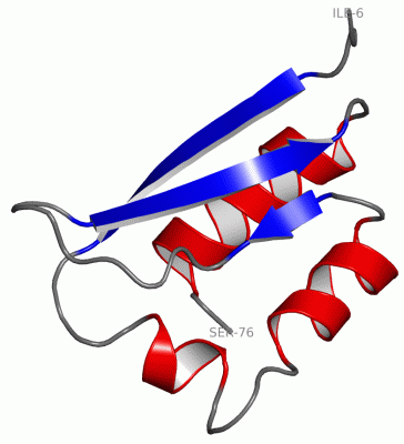 Image NMR Structure - manually