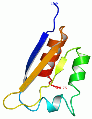 Image NMR Structure - manually