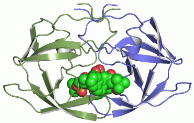 Image Asym./Biol. Unit - manually
