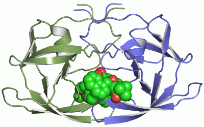 Image Asym./Biol. Unit - manually