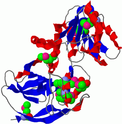 Image Asym./Biol. Unit - manually