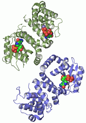Image Asym.Unit - manually
