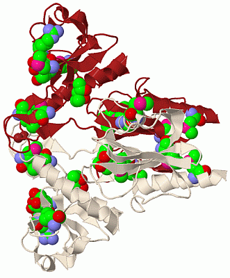 Image Biol.Unit 1 - manually