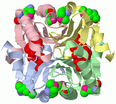 Image Asym./Biol. Unit - manually