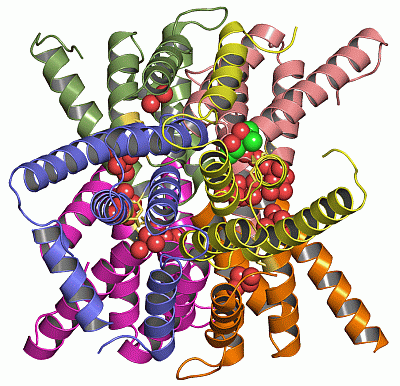Image Asym./Biol. Unit - manually
