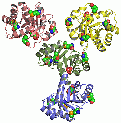 Image Asym.Unit - manually