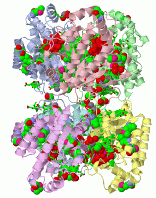 Image Asym.Unit - manually