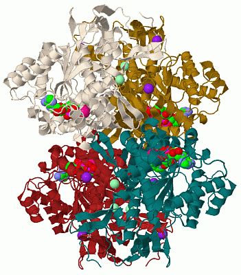 Image Biol.Unit 1 - manually