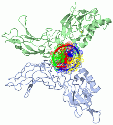 Image Asym./Biol. Unit - manually