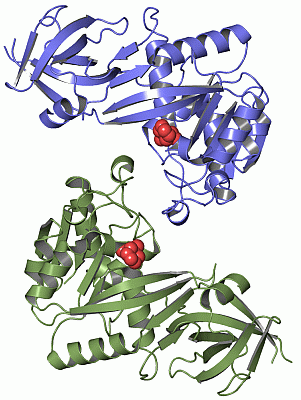 Image Asym./Biol. Unit - manually