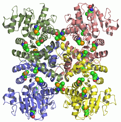 Image Asym./Biol. Unit - manually