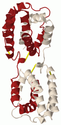 Image Biol.Unit 1 - manually