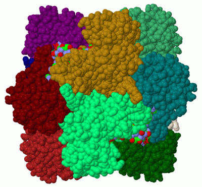 Image Biol.Unit 1 - manually