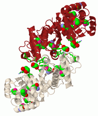 Image Biol.Unit 1 - manually