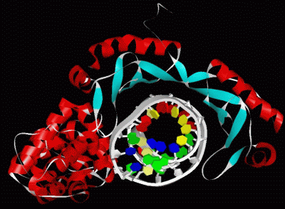 Image Asym./Biol. Unit - manually